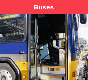 /bus-guides